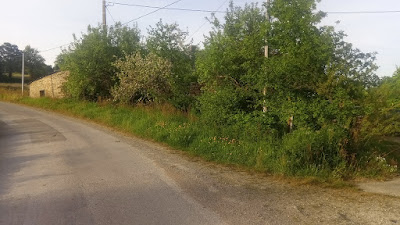 Les rues de boule à Plélan-le-Grand