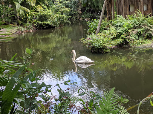 Zoo «Palm Beach Zoo & Conservation Society», reviews and photos, 1301 Summit Blvd, West Palm Beach, FL 33405, USA