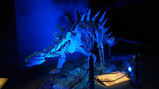 Museum «Portland Science Center», reviews and photos, 68 Commercial St, Portland, ME 04101, USA