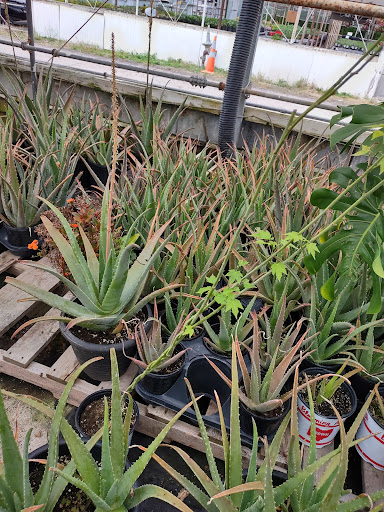 Plant Nursery «Blooming Acres», reviews and photos, 7561 State Rd, Wadsworth, OH 44281, USA