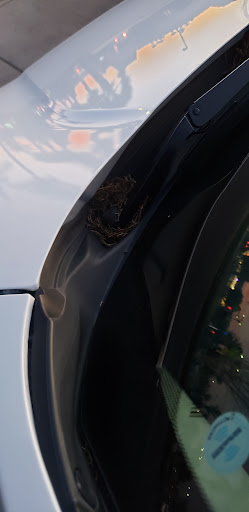 Car Wash «Splash Car Spa», reviews and photos, 17154 E Foothill Blvd, Fontana, CA 92335, USA