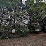 Photo n° 3 de l'avis de Paul. fait le 07/11/2022 à 08:33 pour Prieuré Notre-Dame et Saint-Étienne de Villiers à Villeloin-Coulangé