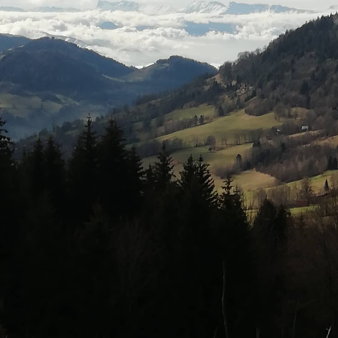 Photo n° 5 de l'avis de Dominique.a fait le 01/02/2021 à 10:04
