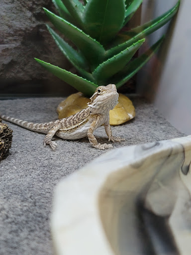 Pet Supply Store «Petco Animal Supplies», reviews and photos, 65 Taunton Depot Dr A, Taunton, MA 02780, USA