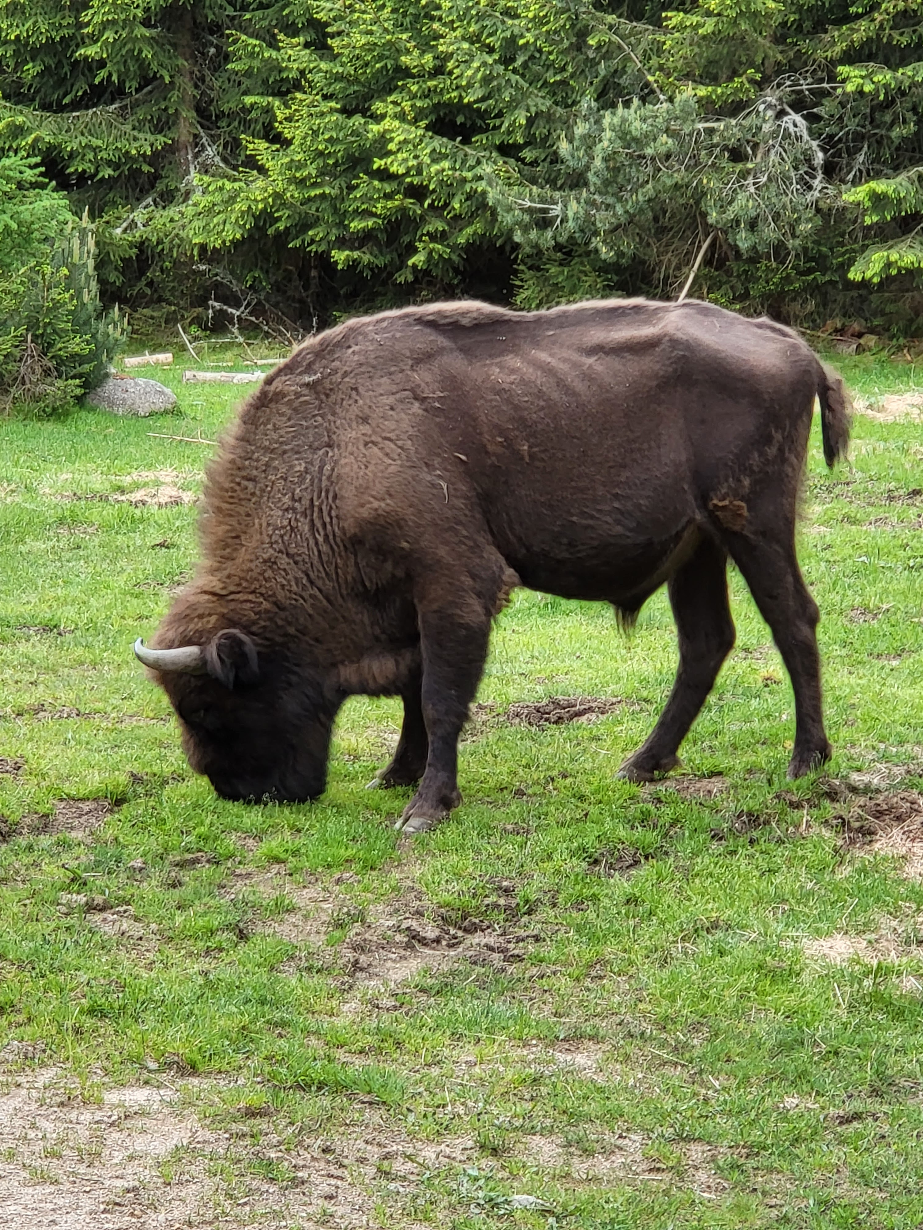 Photo n° 5 de l'avis de Joseph.e fait le 07/06/2023 à 21:11