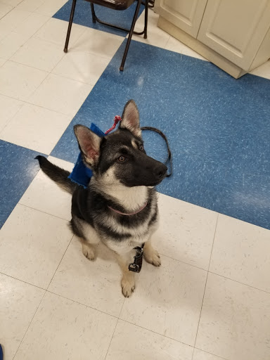 Pet Supply Store «Petco Animal Supplies», reviews and photos, 3110 S Louise Ave, Sioux Falls, SD 57106, USA