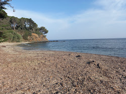 Foto von Plage du Vergeron und die siedlung