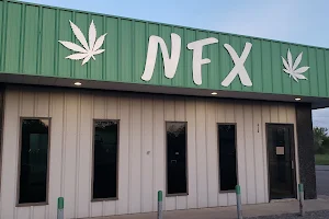 Nature's Fix Dispensary - NFX image