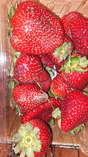 Supermarket «ALDI», reviews and photos, 2990 Edgely Rd, Levittown, PA 19057, USA