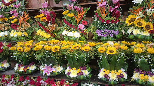 Floreria Anturios florería en  en la zona Centro