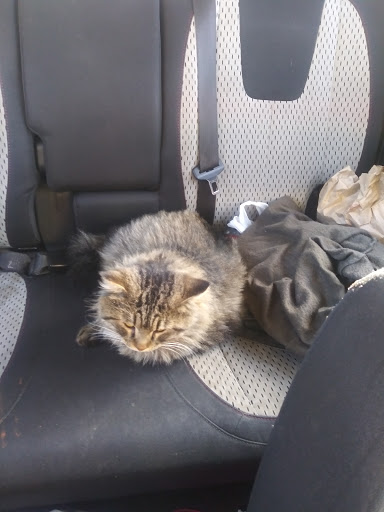 Pet Supply Store «Petsense Corinth», reviews and photos, 1663 Virginia Ln, Corinth, MS 38834, USA