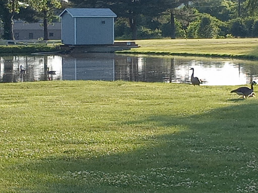 Public Golf Course «Rolling Hills Golf Course», reviews and photos, 1600 Pine Dr, Russellville, KY 42276, USA