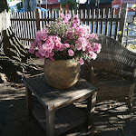 Photo n°2 de l'avis de Sylvie.r fait le 17/10/2021 à 13:04 sur le  Fährhaus Caputh à Schwielowsee