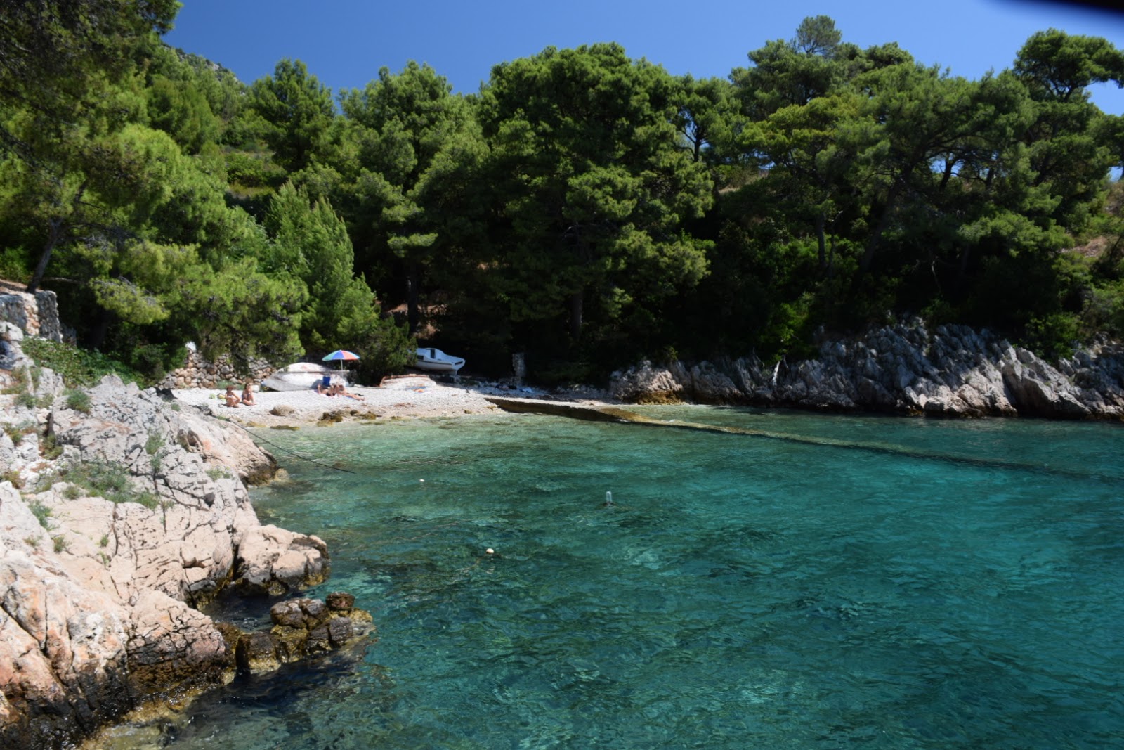 Foto af Draceva bay vildt område