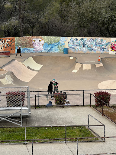 Auburn Skate Park