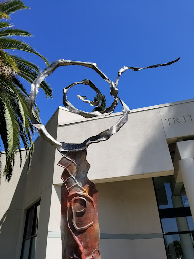 Museum «Triton Museum of Art», reviews and photos, 1505 Warburton Ave, Santa Clara, CA 95050, USA