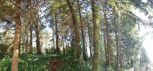 Park «Tukwila Park», reviews and photos, 15460 65th Ave S, Tukwila, WA 98188, USA