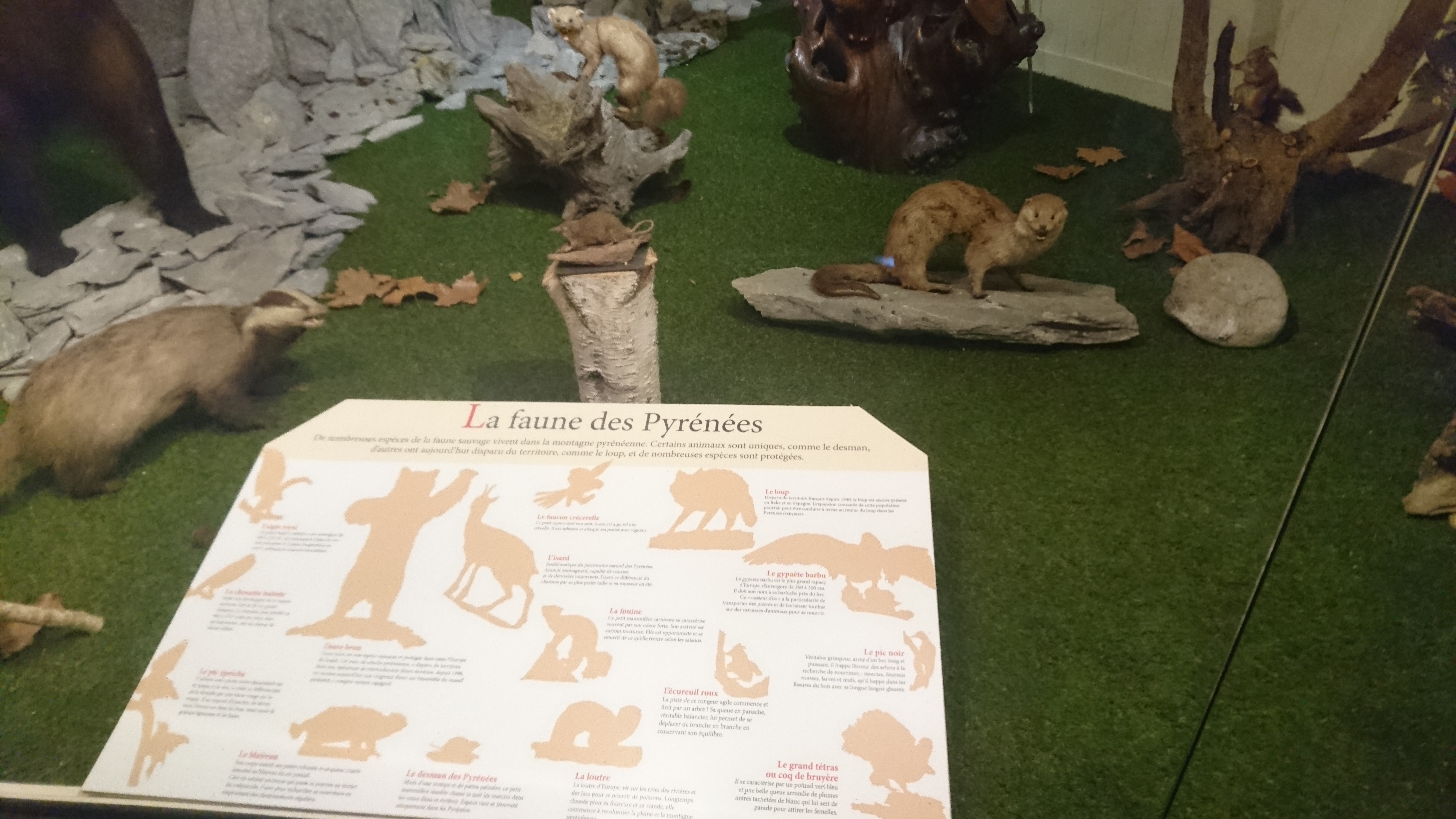 Photo n° 29 de l'avis de Sidoine.A fait le 17/06/2018 à 13:03