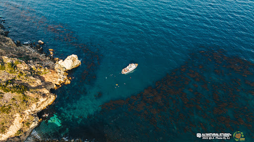 ASD Scuba Diving School image