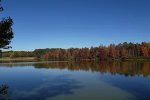 Cane Creek Park image