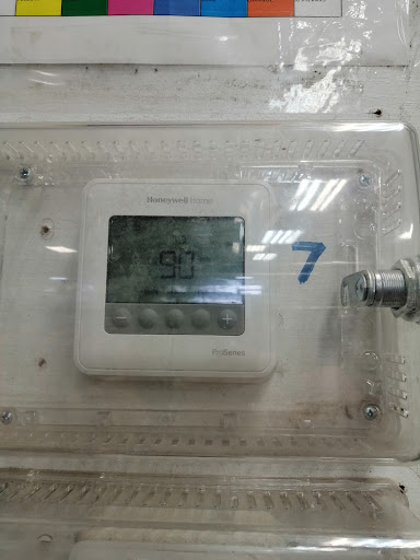 Thrift Store «Goodwill», reviews and photos