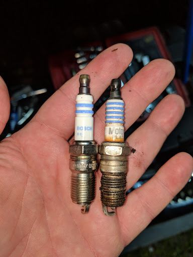 Used Car Dealer «Quality Engines Auto Sales», reviews and photos, 2565 NW 107th Ave, Doral, FL 33172, USA