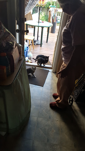 Produce Market «Hudson Farmers Market», reviews and photos, 3437 John F. Kennedy Blvd, Jersey City, NJ 07307, USA