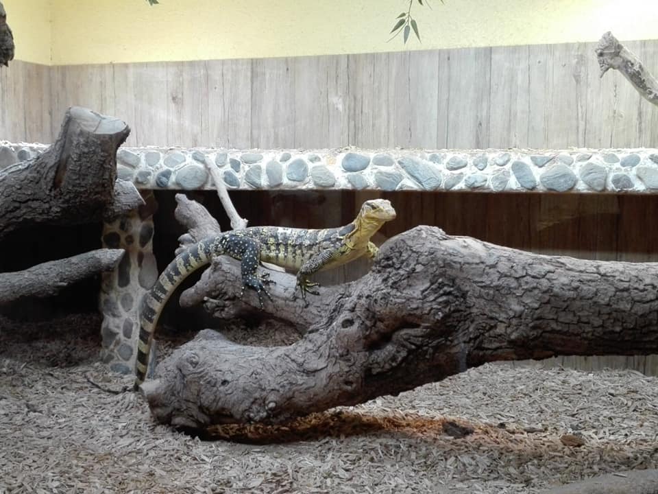 Photo n° 3 de l'avis de sab. fait le 12/01/2019 à 21:23