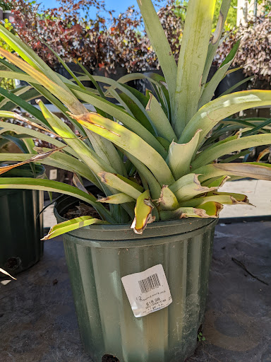 Home Improvement Store «The Home Depot», reviews and photos, 20 Gateway Village Rd, Bluffton, SC 29910, USA