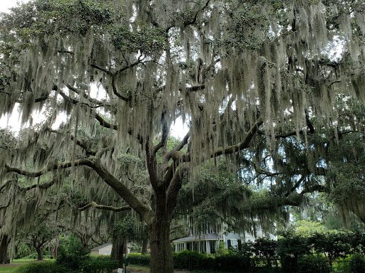 Park «Pigeon Point Park», reviews and photos, 1521 Pigeon Point Rd, Beaufort, SC 29902, USA