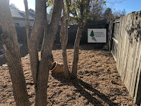 Evergreen Ecoscape and Design LLC - Photo 6 - Car repair in , Colorado Springs