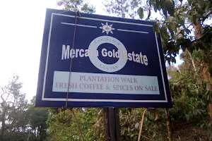 Mercara Gold Estate Coffee Plantation image