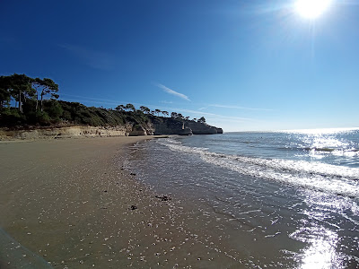 MESCHERS-SUR-GIRONDE - Arnèche à Meschers-sur-Gironde