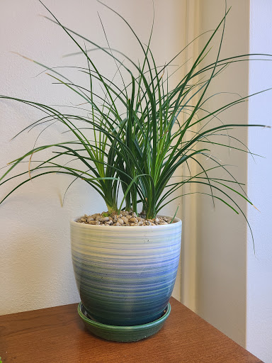 Florist «Urban Sense», reviews and photos, 5402 W Vliet St, Milwaukee, WI 53208, USA