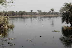 Surajpur Wetland image