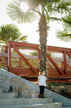 Helen Diller Playground - photo 25