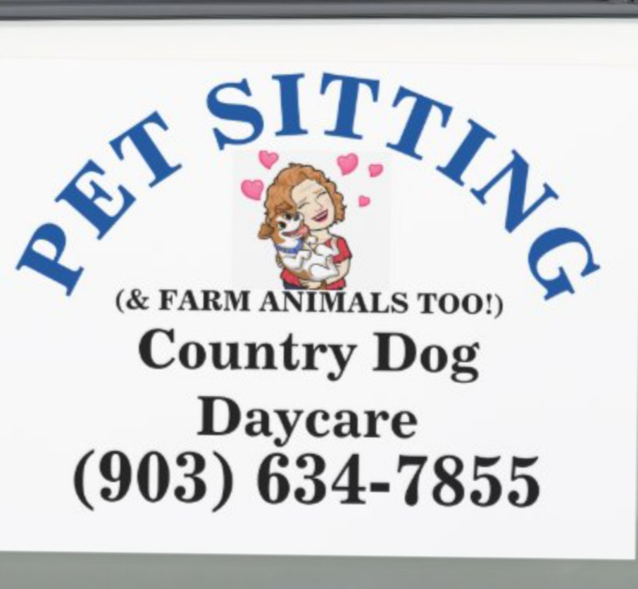 Country Dog Daycare (&Farm Animals Too!)