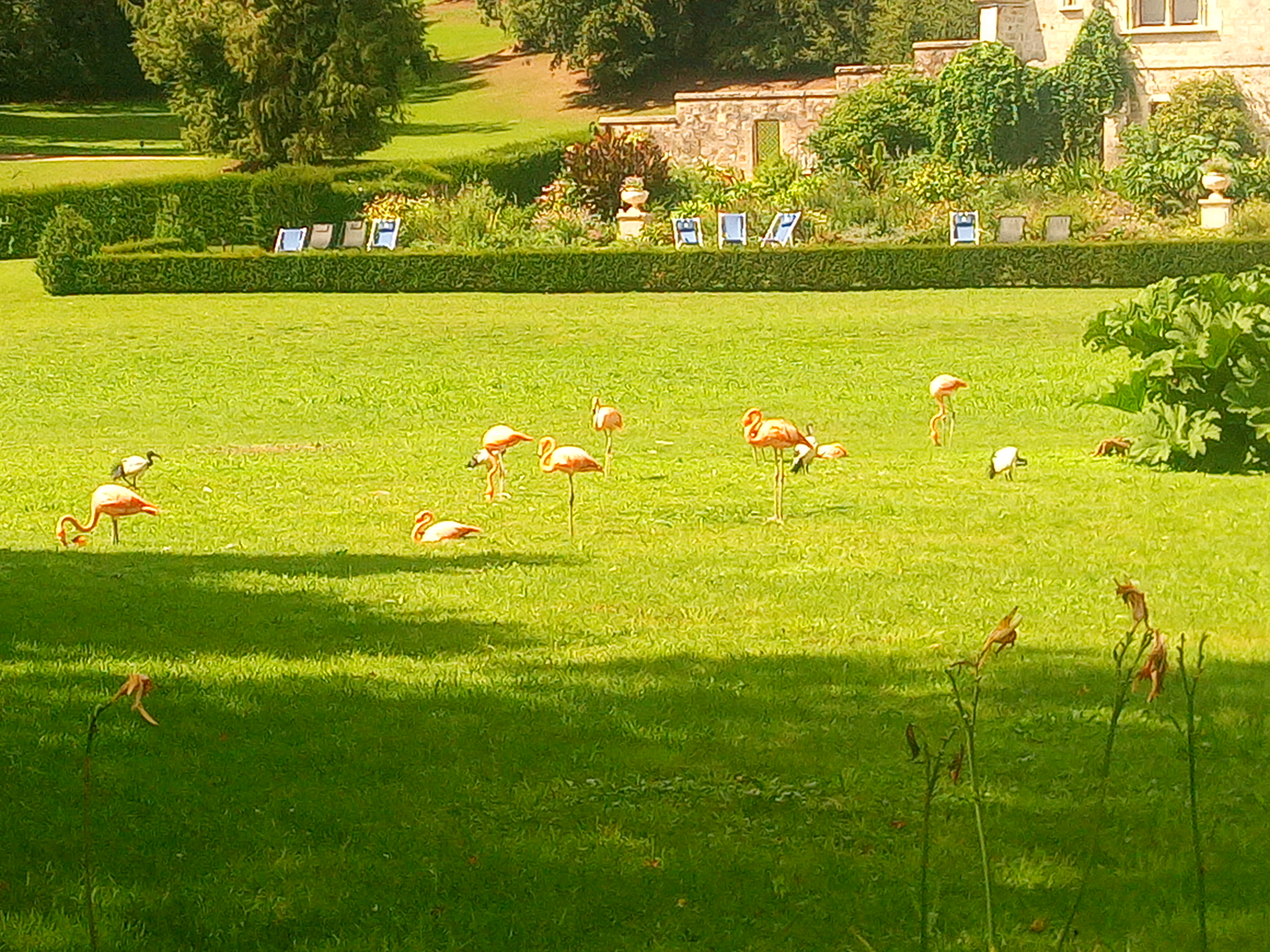 Photo n° 4 de l'avis de guillaume.e fait le 20/08/2020 à 14:57