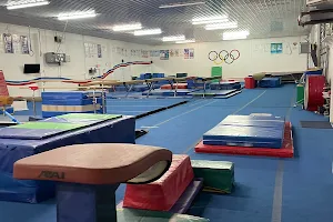 United Gymnastics Academy - Port St Lucie image