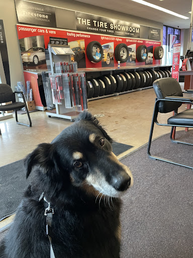 Tire Shop «Firestone Complete Auto Care», reviews and photos, 18950 West Rd, Woodhaven, MI 48183, USA