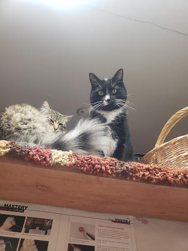 Pet Supply Store «PetSmart», reviews and photos, 4240 S Mooney Blvd, Visalia, CA 93277, USA