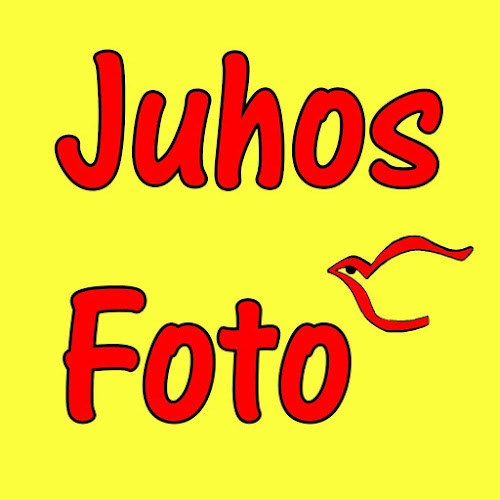 Juhos Fotó - Fényképész