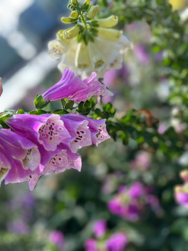 Home Improvement Store «The Home Depot», reviews and photos, 3849 S Delsea Dr, Vineland, NJ 08360, USA