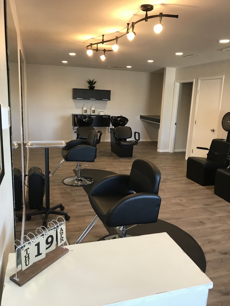 The Color Cafe 52544