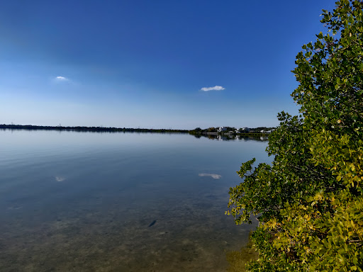 Park «Upper Tampa Bay Park (Attempted Site 3)», reviews and photos, Double Branch Rd, Tampa, FL, USA