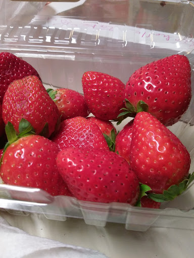 Grocery Store «Puzyckis market», reviews and photos, 15690-15698 Bedford Cir W, Clearwater, FL 33764, USA