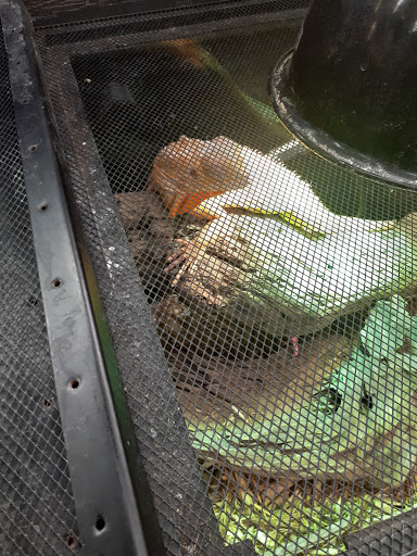 Pet Supply Store «Pet Finatics», reviews and photos, 3150 Navarre Ave, Oregon, OH 43616, USA