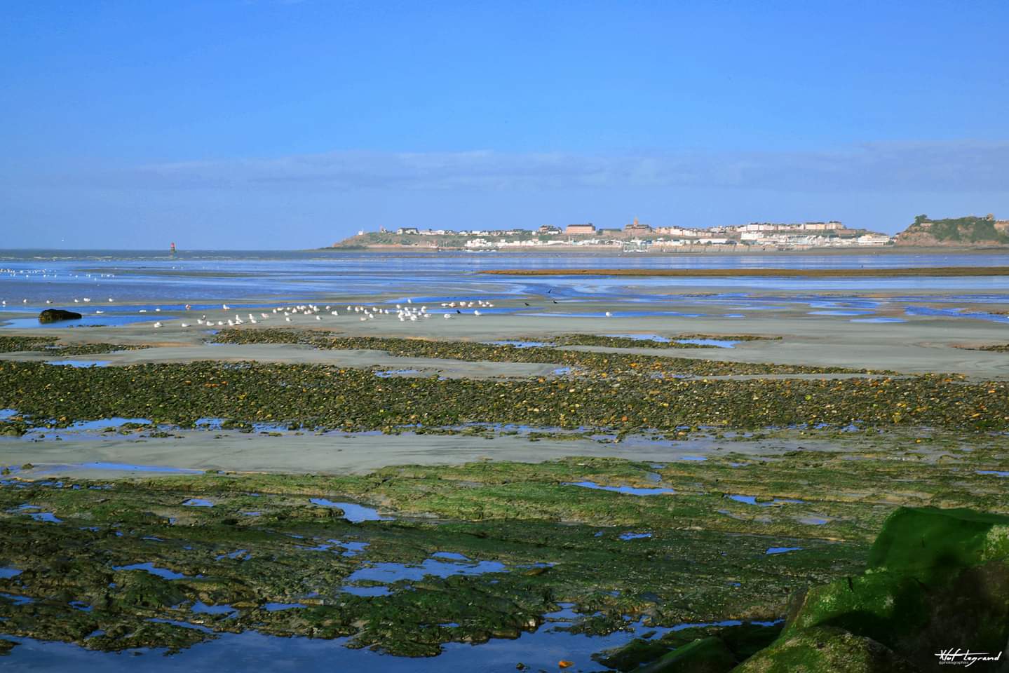 Photo n° 4 de l'avis de Xtofus.a fait le 17/09/2022 à 01:06