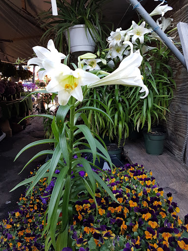 Produce Market «Hudson Farmers Market», reviews and photos, 3437 John F. Kennedy Blvd, Jersey City, NJ 07307, USA