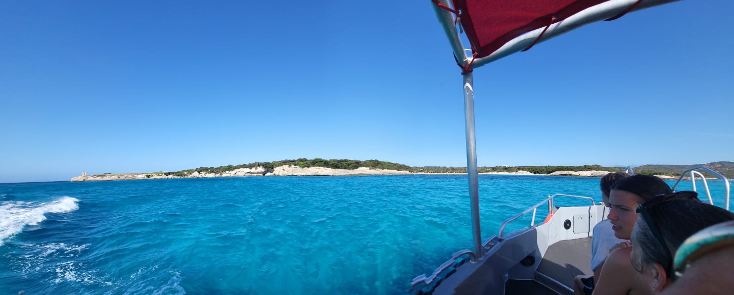 Photo n° 2 de l'avis de Stéphane.e fait le 31/07/2023 à 17:13
